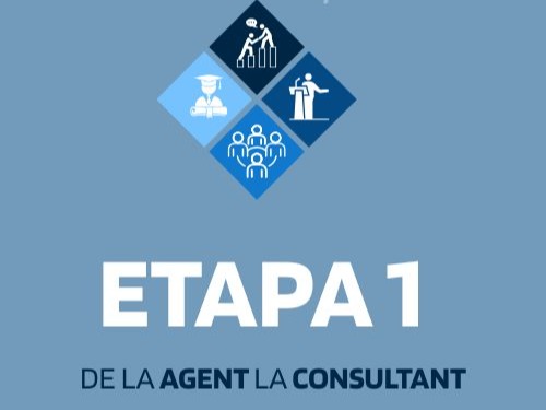 Etapa 1. Fundația: de la Agent la Consultant